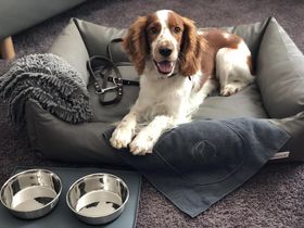 Romantische Liebelei in der Pfalz - One Night in Speyer inkl. Abendessen