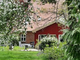 Weihnachten an der Mecklenburgischen Seenplatte