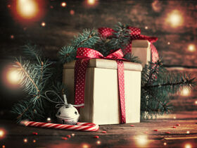 Weihnachten an der Mecklenburgischen Seenplatte