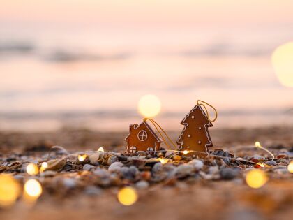Weihnachten an der Mecklenburgischen Seenplatte erleben
