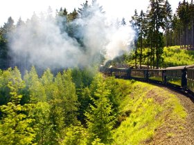 3 Tage Harz-Schnäppchen inkl. Halbpension Plus
