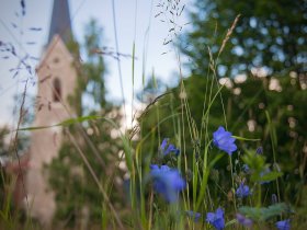 Schnupper-Übernachtungs-Schnäppchen-4 Tage Kurzurlaub im Südharz