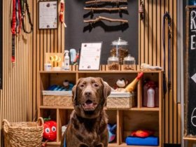 Lübeck erkunden - 3 Tage 