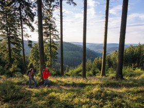Auszeit im Harz - 4 Tage Waldzeit & Wohlgefühl inkl. Abendessen