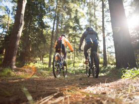 Bike, Natur & Wellness – 3 Nächte im Harz