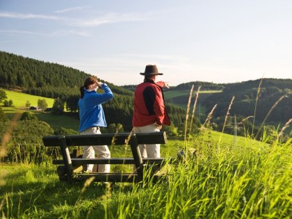 Waldluft & Weitblick – 3 Nächte im Harz