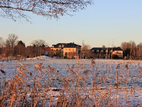 Sommerbrise im Christinenhof
