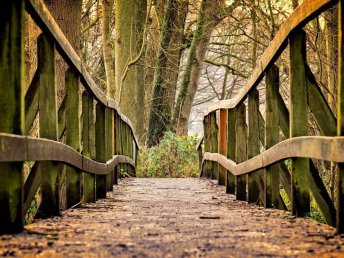 Midweek-Spezial im Sauerland  4 Ü./ Tage