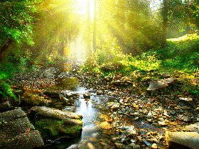 Adventszauber  in Meschede im Sauerland inkl. HP |3 Tage