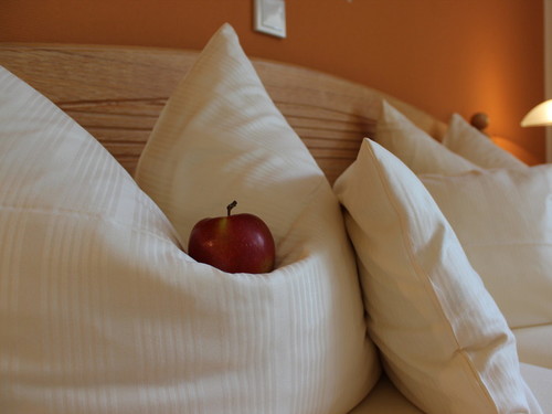 Landidyll NaturPurHotel Maarblick