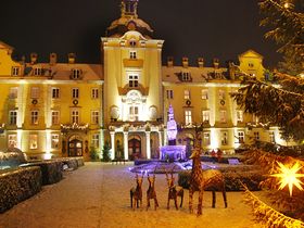 Bückeburg Royal - 3 Tage Bückeburg