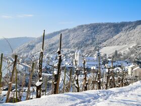 3 Tage - Kuschelwellness zu Zweit an der Mosel inkl. HP & Massage