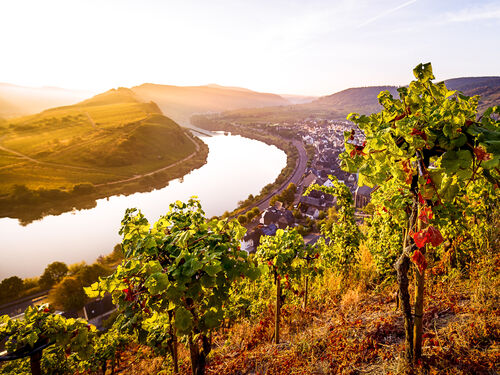 Mosel Momente - Einfach mal kurz raus an die Mosel inkl. 4-Gang-Menü 2