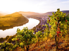 Mosel Momente - Einfach mal kurz raus an die Mosel inkl. 4-Gang-Menü 2