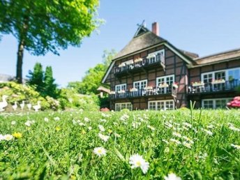 Sommerzeit ist Heidezeit 4 Tage