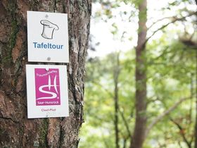 Kulturtage im Saarland 5 Nächte inkl. Saarland Card & Abendessen