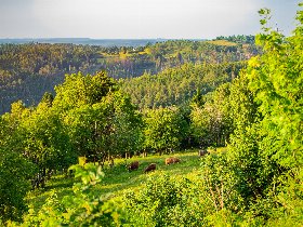2 Nächte Stressless - Kurzurlaub zum Schnuppern im Schwarzatal, im schönen Thüringer Wald