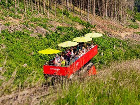 2 Nächte Stressless - Kurzurlaub zum Schnuppern im Schwarzatal, im schönen Thüringer Wald