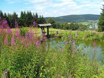 Bild 32 von 36