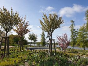 Weihnachten auf Usedom - 5 Nächte 