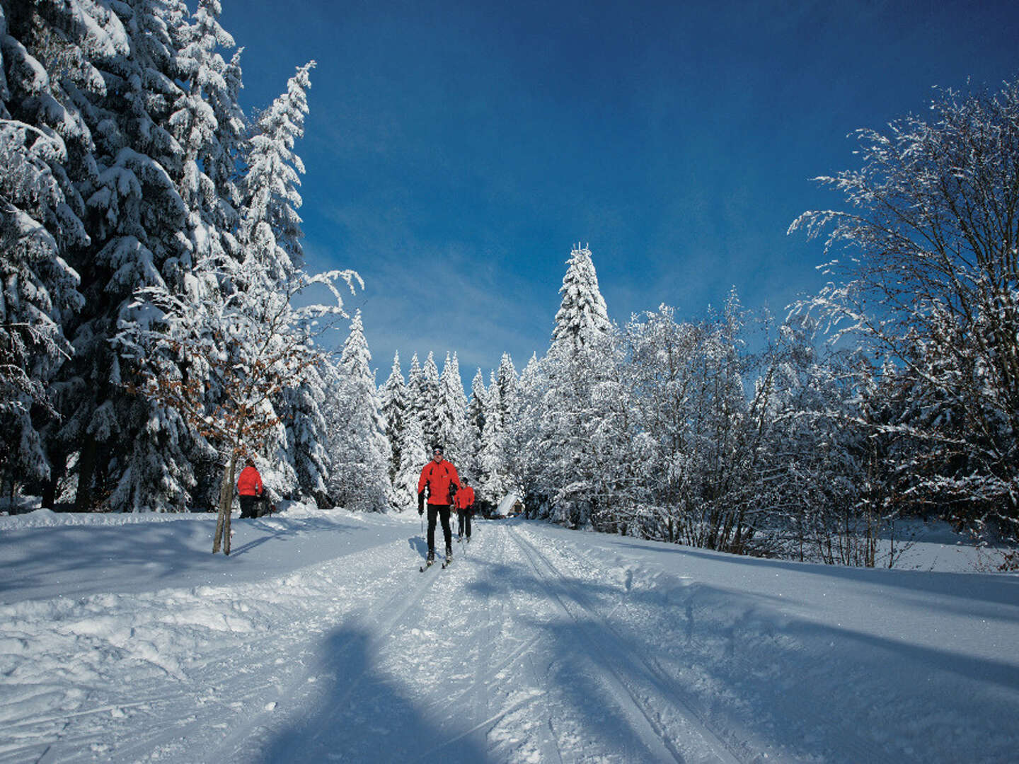 3 Tage Adventszeit im Vogtland genießen inkl. Halbpension