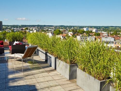 Hotel Viva Sky
