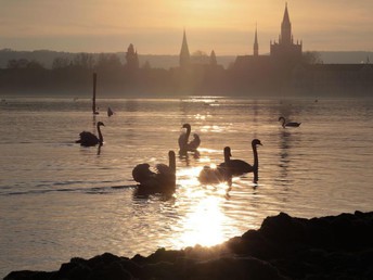 Bild 17 von 23