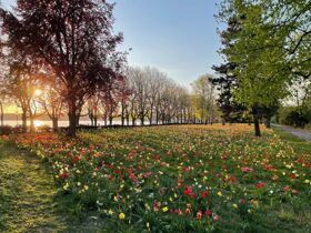 Hauptstadtfeeling- Berlin zum BEST-Preis - 3 Tage 