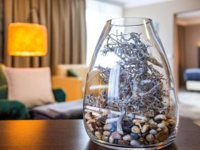 Schnapsidee für 1 Nacht im Sauerland - Willkommen mit dem ersten Kurzen! 