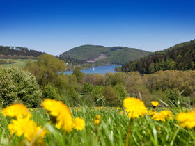 2 Tage Wandern auf dem Sauerland Höhenflug 