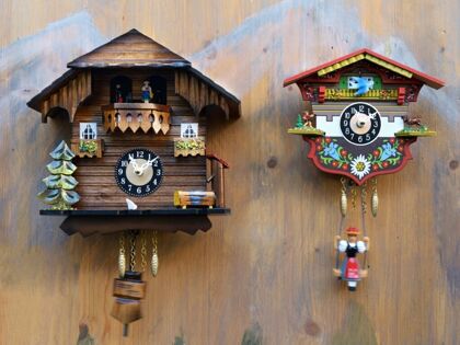 Natur-Urlaub im Schwarzwald | 8 Tage