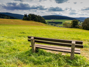 Bild 8 von 18