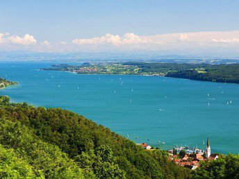 Bild 15 von 15