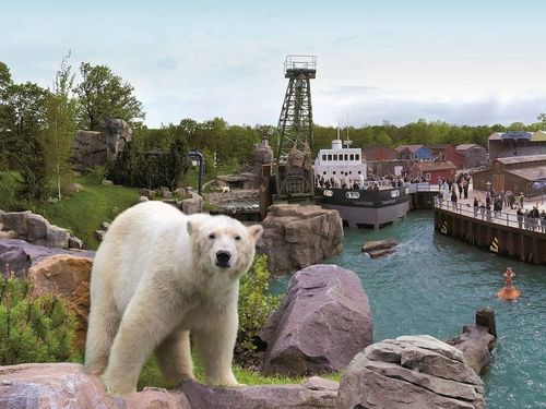 "Sibirischer Tiger, Erdmännchen & Co. - ab in den Erlebniszoo" 2 Tage 