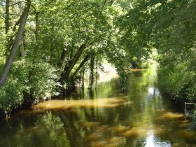 3 Tage Luxusentspannungszeit im Münsterland inkl. Dinner