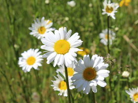 3 Tage Auszeit im Solling 