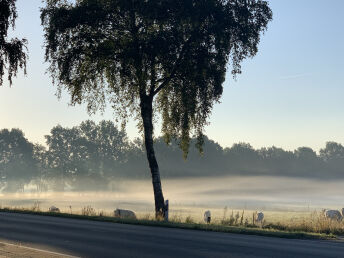 Bild 29 von 29