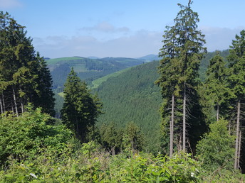 Bild 25 von 36
