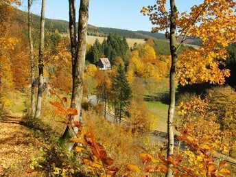 Bild 23 von 36