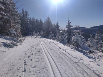 Bild 32 von 36
