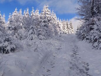 Bild 36 von 36