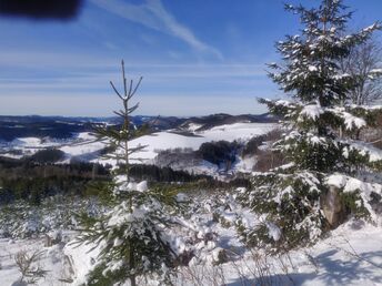 Bild 35 von 36