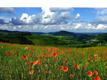 Bild 24 von 36