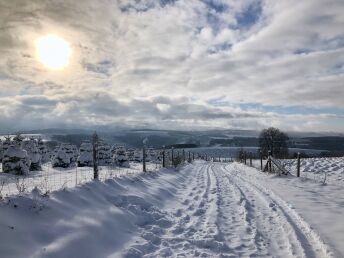 Bild 33 von 36