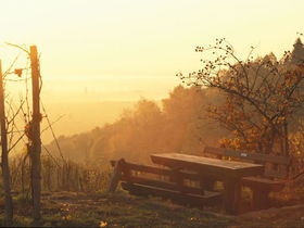 Silvester 25 - 4 Tage in der Pfalz