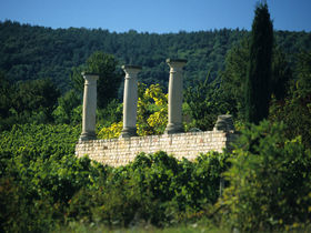 Silvester 25 - 4 Tage in der Pfalz