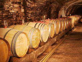 Silvester 25 - 4 Tage in der Pfalz