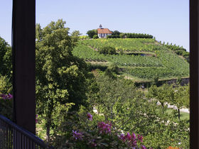 Silvester 25 - 4 Tage in der Pfalz