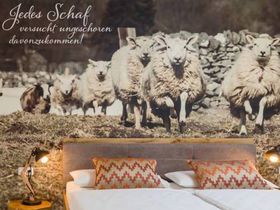 Meeresklima- Wellness pur in Bad Bevensen inkl. Salzgrotte & Therme- 4 Tage
