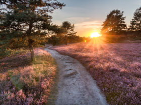 Natur pur! Picknick, Wandern oder Radeln in der Lüneburger Heide - 3 Tage inkl. Salzgrotte 2